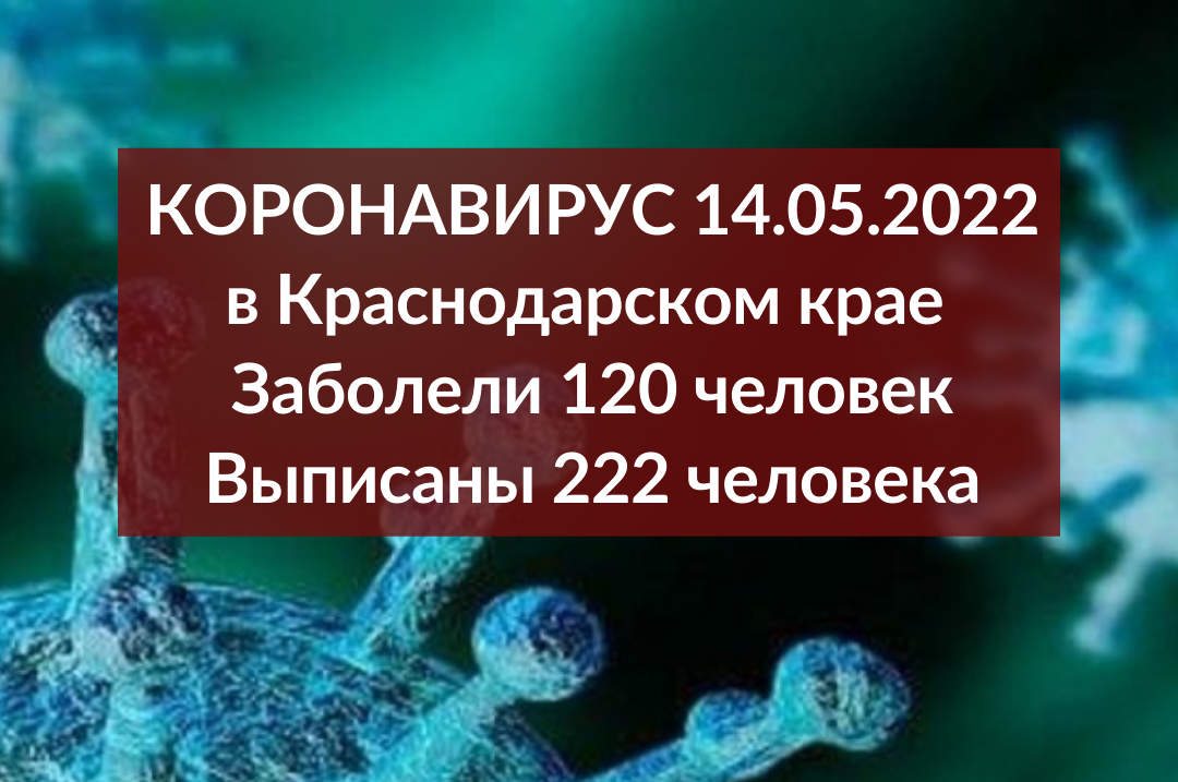 Число новых заболевших COVID-19 за сутки снизилось до 120